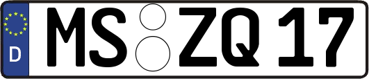 MS-ZQ17