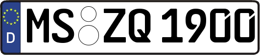 MS-ZQ1900