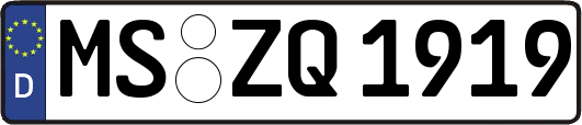 MS-ZQ1919