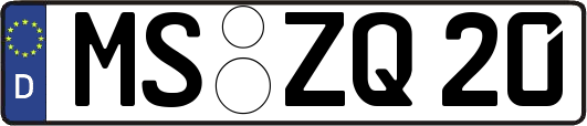 MS-ZQ20