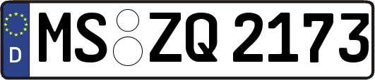 MS-ZQ2173