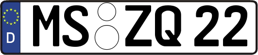 MS-ZQ22