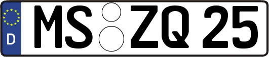 MS-ZQ25