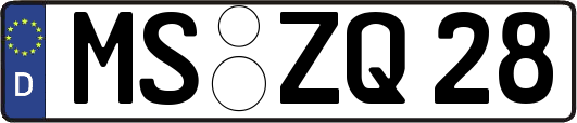 MS-ZQ28