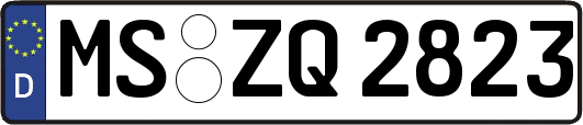 MS-ZQ2823