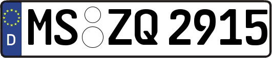 MS-ZQ2915