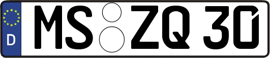 MS-ZQ30