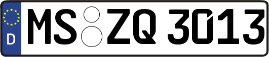 MS-ZQ3013