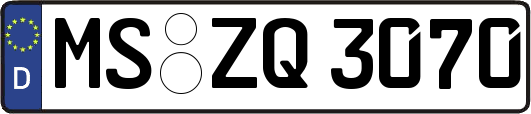 MS-ZQ3070