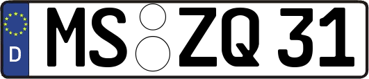 MS-ZQ31