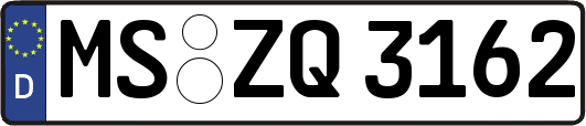 MS-ZQ3162