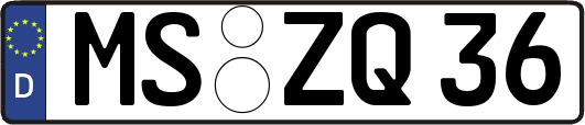 MS-ZQ36