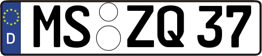 MS-ZQ37