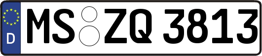 MS-ZQ3813