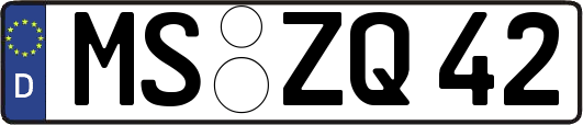 MS-ZQ42