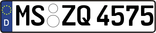 MS-ZQ4575