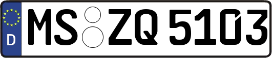MS-ZQ5103