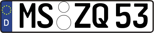 MS-ZQ53