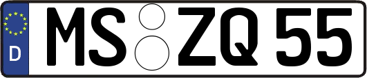 MS-ZQ55