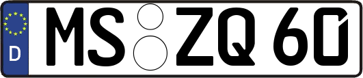MS-ZQ60