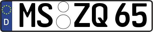 MS-ZQ65