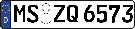 MS-ZQ6573