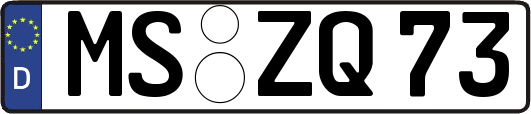 MS-ZQ73
