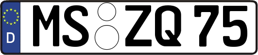 MS-ZQ75