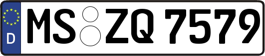 MS-ZQ7579