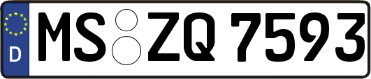 MS-ZQ7593