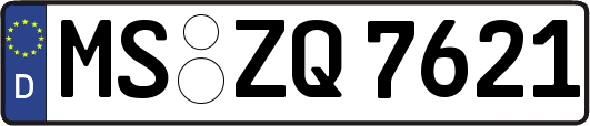 MS-ZQ7621