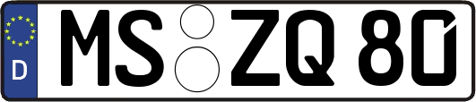 MS-ZQ80