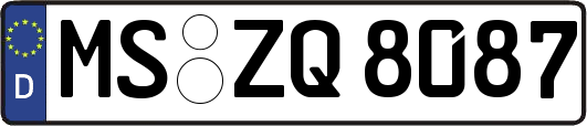 MS-ZQ8087