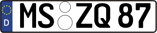MS-ZQ87