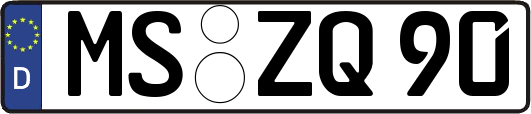 MS-ZQ90