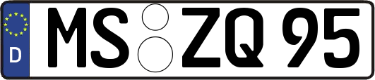 MS-ZQ95