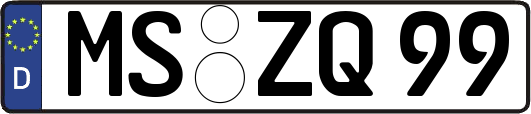MS-ZQ99