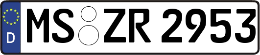 MS-ZR2953