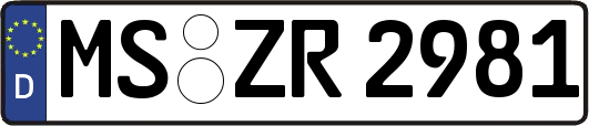 MS-ZR2981