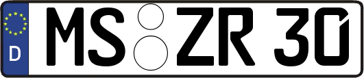 MS-ZR30