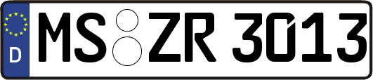 MS-ZR3013