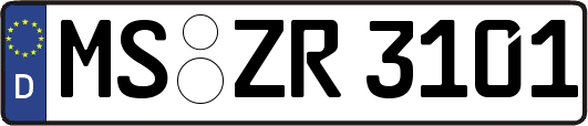 MS-ZR3101