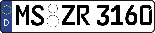 MS-ZR3160