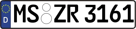 MS-ZR3161