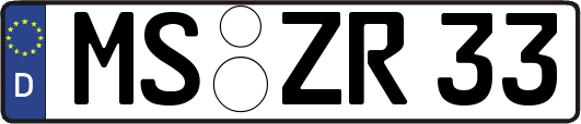 MS-ZR33