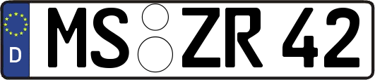 MS-ZR42
