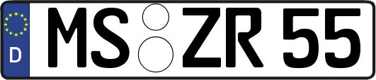 MS-ZR55