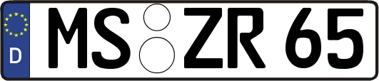 MS-ZR65