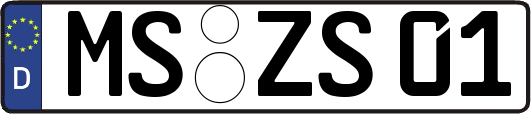 MS-ZS01