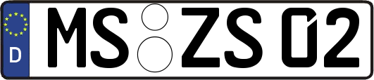 MS-ZS02